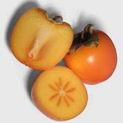 Kaki or Persimmon